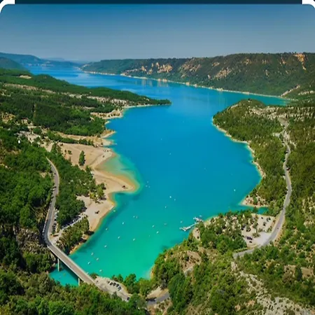 L'olivier Sainte-Tulle