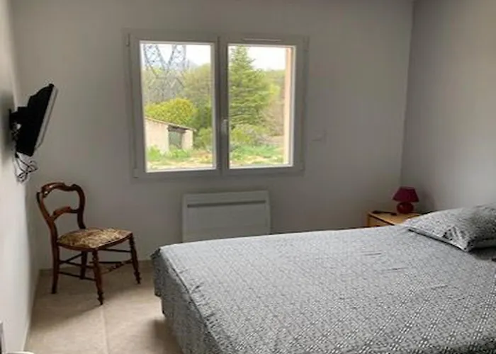 L'olivier Sainte-Tulle