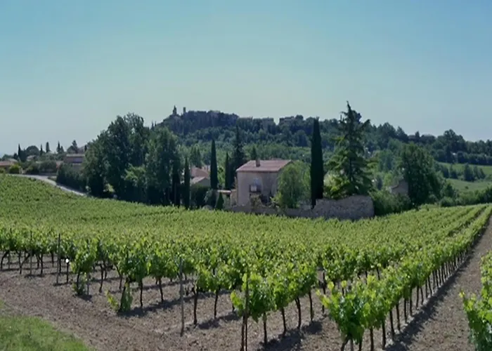 Apartment L'olivier *